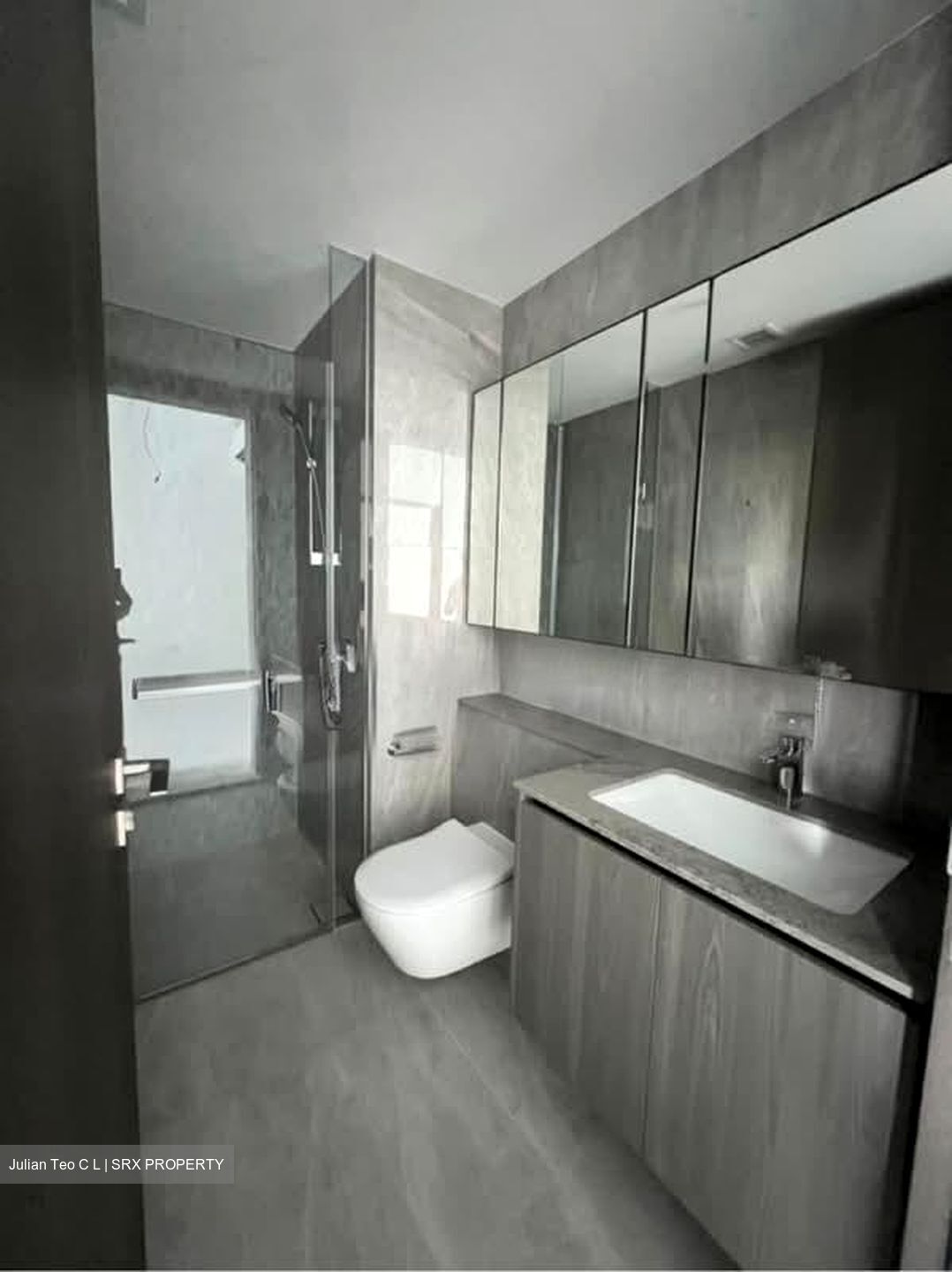 Piccadilly Grand (D8), Apartment #528234281
